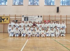 Sukcesy na zawodach Pucharu Polski Karate